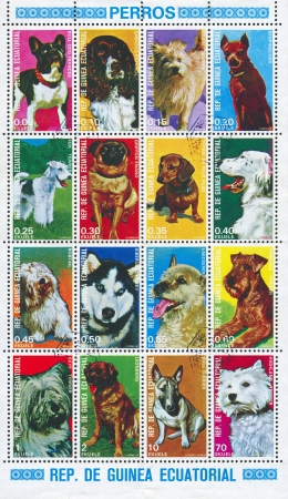 GUINEA - CIRCA 1974: stamp printed by Guinea, shows dog, circa 1974のeditorial素材