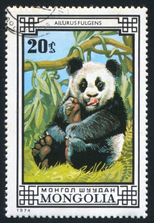 MONGOLIA - CIRCA 1974: stamp printed by Mongolia, shows Common panda, circa 1974のeditorial素材
