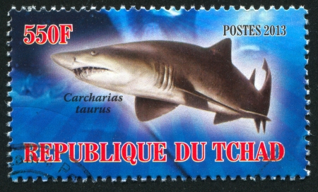 CHAD - CIRCA 2013: stamp printed by Chad, shows shark, circa 2013のeditorial素材