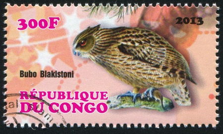 CONGO - CIRCA 2013: stamp printed by Congo, shows owl bird, circa 2013のeditorial素材