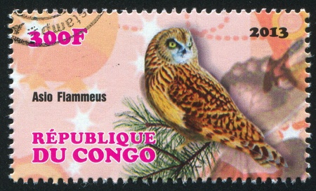 CONGO - CIRCA 2013: stamp printed by Congo, shows owl bird, circa 2013のeditorial素材