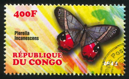 CONGO - CIRCA 2013: stamp printed by Congo, shows butterfly, circa 2013のeditorial素材