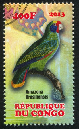 CONGO - CIRCA 2013: stamp printed by Congo, shows parrot, amazona brasiliensis, circa 2013のeditorial素材