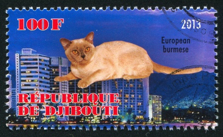 DJIBOUTI - CIRCA 2013: stamp printed by Djibouti, shows European burmese cat, circa 2013のeditorial素材