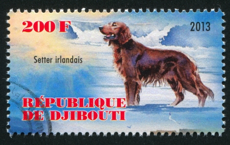 DJIBOUTI - CIRCA 2013: stamp printed by Djibouti, shows setter irlandais dog, circa 2013のeditorial素材