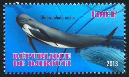 DJIBOUTI - CIRCA 2013: stamp printed by Djibouti, shows whale, circa 2013のeditorial素材