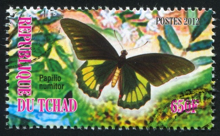 CHAD - CIRCA 2012: stamp printed by Chad, shows butterfly, circa 2012のeditorial素材