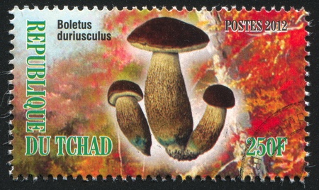CHAD - CIRCA 2012: stamp printed by Chad, shows mushroom, circa 2012のeditorial素材
