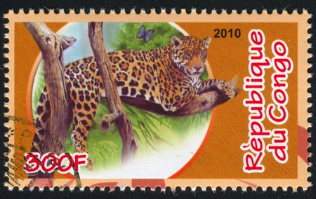 CONGO - CIRCA 2010: stamp printed by Congo, shows Leoprad, circa 2010のeditorial素材