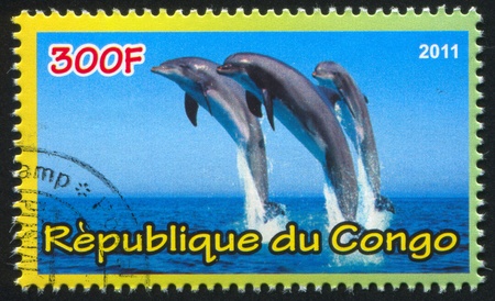 CONGO - CIRCA 2011: stamp printed by Congo, shows Dolphins, circa 2011のeditorial素材