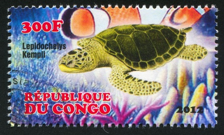 CONGO - CIRCA 2012: stamp printed by Congo, shows sea turtle, circa 2012のeditorial素材