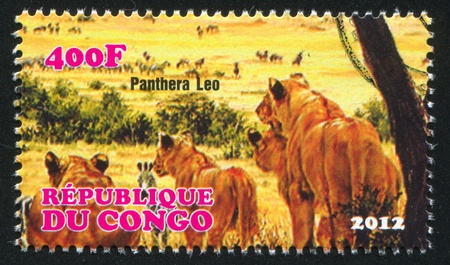 CONGO - CIRCA 2012: stamp printed by Congo, shows lion, circa 2012のeditorial素材