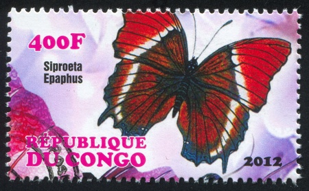 CONGO - CIRCA 2012: stamp printed by Congo, shows butterfly, circa 2012のeditorial素材