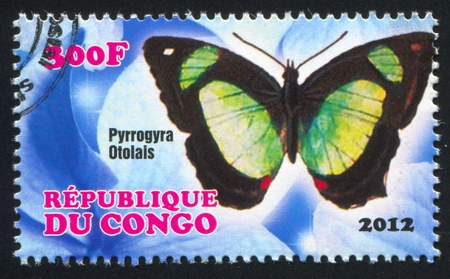 CONGO - CIRCA 2012: stamp printed by Congo, shows butterfly, circa 2012のeditorial素材