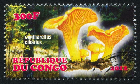 CONGO - CIRCA 2012: stamp printed by Congo, shows mushroom, circa 2012のeditorial素材