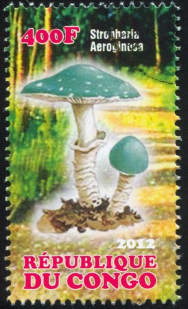 CONGO - CIRCA 2012: stamp printed by Congo, shows mushroom, circa 2012のeditorial素材