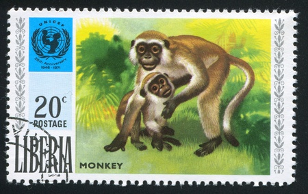 LIBERIA - CIRCA 1971: stamp printed by Liberia, shows UNICEF emblem and monkey, circa 1971のeditorial素材