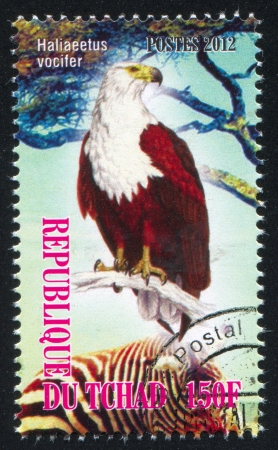 CHAD - CIRCA 2012: stamp printed by Chad, shows African fish eagle, circa 2012のeditorial素材