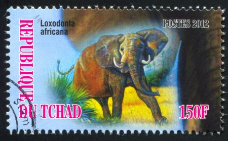 CHAD - CIRCA 2012: stamp printed by Chad, shows African bush elephant, circa 2012のeditorial素材