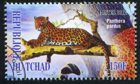 CHAD - CIRCA 2012: stamp printed by Chad, shows Leopard, circa 2012のeditorial素材