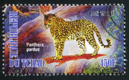 CHAD - CIRCA 2012: stamp printed by Chad, shows Leopard, circa 2012のeditorial素材