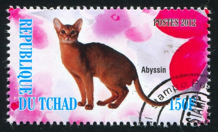 CHAD - CIRCA 2012: stamp printed by Chad, shows Abyssin cat, circa 2012のeditorial素材