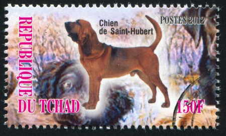 CHAD - CIRCA 2012: stamp printed by Chad, shows Bloodhound, circa 2012のeditorial素材