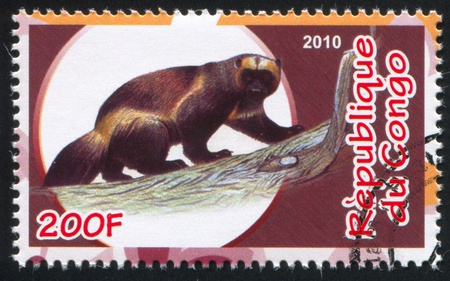 CONGO - CIRCA 2010: stamp printed by Congo, shows Wolverine, circa 2010のeditorial素材