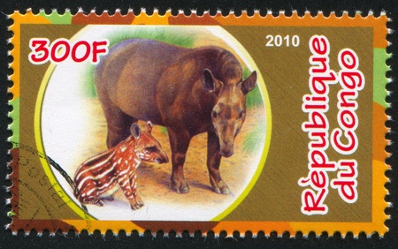 CONGO - CIRCA 2010: stamp printed by Congo, shows Tapir, circa 2010のeditorial素材