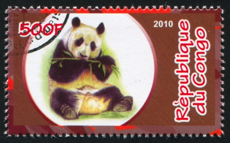 CONGO - CIRCA 2010: stamp printed by Congo, shows Giant panda, circa 2010のeditorial素材