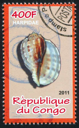 CONGO - CIRCA 2011: stamp printed by Congo, shows Sea shell, circa 2011のeditorial素材