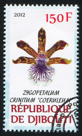 DJIBOUTI - CIRCA 2012: stamp printed by Djibouti, shows flower, circa 2012のeditorial素材