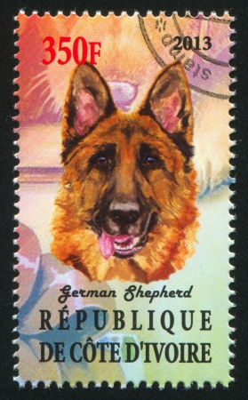 IVORY COAST - CIRCA 2013: stamp printed by Ivory Coast, shows German Shepherd, circa 2013のeditorial素材