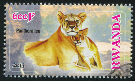 RWANDA - CIRCA 2013: stamp printed by Rwanda, shows Lion, circa 2013のeditorial素材