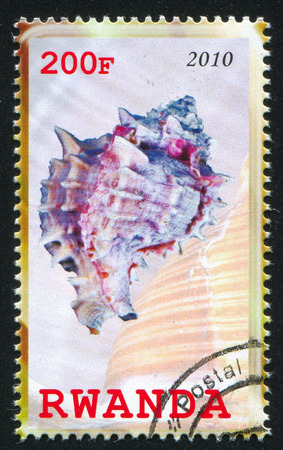 RWANDA - CIRCA 2010: stamp printed by Rwanda, shows Shell, circa 2010のeditorial素材