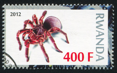 RWANDA - CIRCA 2012: stamp printed by Rwanda, shows Spider, circa 2012のeditorial素材