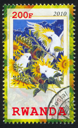 RWANDA - CIRCA 2010: stamp printed by Rwanda, shows Parrot, circa 2010のeditorial素材