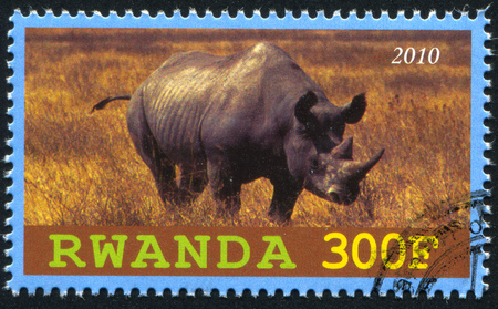 RWANDA - CIRCA 2010: stamp printed by Rwanda, shows Rhinoceros, circa 2010のeditorial素材