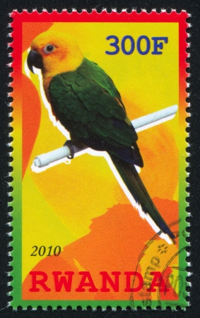 RWANDA - CIRCA 2010: stamp printed by Rwanda, shows Parrot, circa 2010のeditorial素材