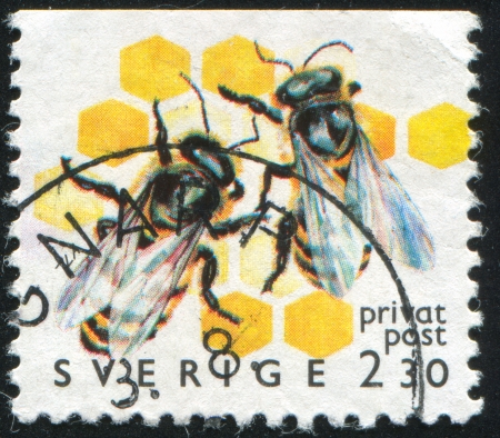SWEDEN - CIRCA 1990: stamp printed by Sweden, shows Bee, circa 1990のeditorial素材
