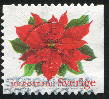 SWEDEN - CIRCA 2011: stamp printed by Sweden, shows Poinsettia, circa 2011のeditorial素材