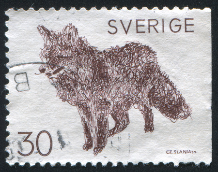 SWEDEN - CIRCA 1968: stamp printed by Sweden, shows Red fox, circa 1968のeditorial素材