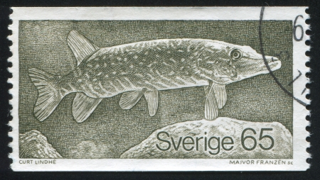 SWEDEN - CIRCA 1979: stamp printed by Sweden, shows Pike, circa 1979のeditorial素材