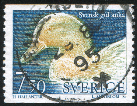 SWEDEN - CIRCA 1994: stamp printed by Sweden, shows Yellow duck, circa 1994のeditorial素材