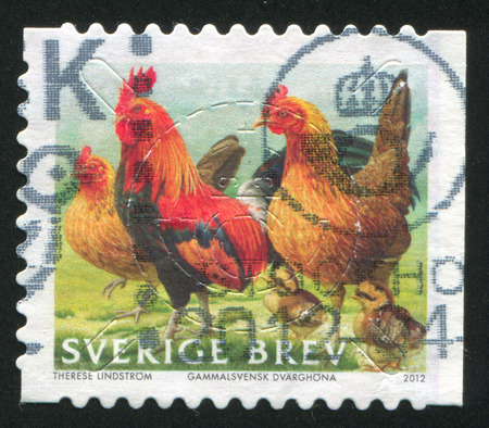 SWEDEN - CIRCA 2012: stamp printed by Sweden, shows chicken, circa 2012のeditorial素材