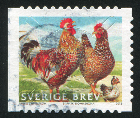 SWEDEN - CIRCA 2012: stamp printed by Sweden, shows chicken, circa 2012のeditorial素材