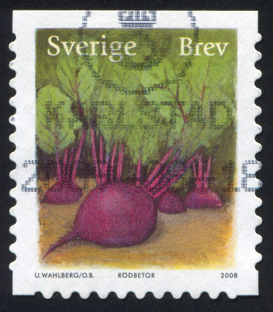 SWEDEN - CIRCA 2008: stamp printed by Sweden, shows Beet, circa 2008のeditorial素材