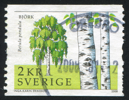 SWEDEN - CIRCA 2008: stamp printed by Sweden, shows Birch, circa 2008のeditorial素材