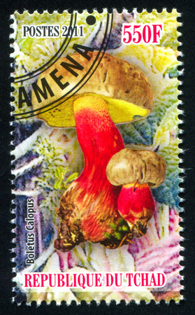 CHAD - CIRCA 2011: stamp printed by Chad, shows mushroom, circa 2011のeditorial素材
