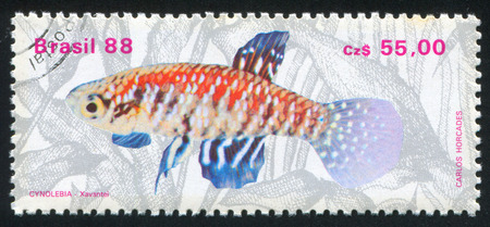 BRAZIL - CIRCA 1988: stamp printed by Brazil, shows  Fresh-water Fish, Xavantei, circa 1988のeditorial素材